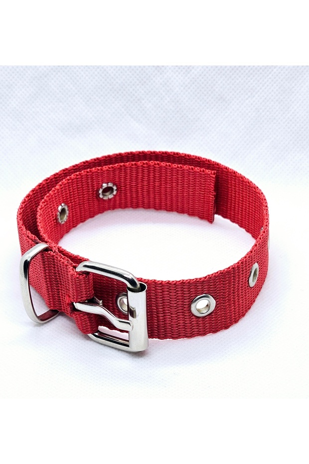 طوق كلب، طوق كلب ذو نسيج خاص - 1