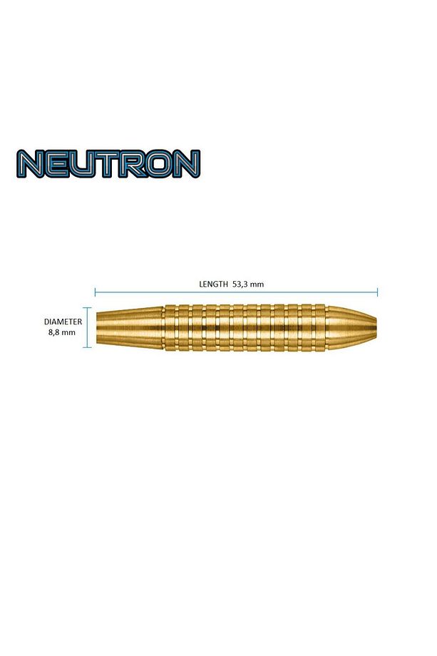 Neutron 22gr Dart Oku - 3