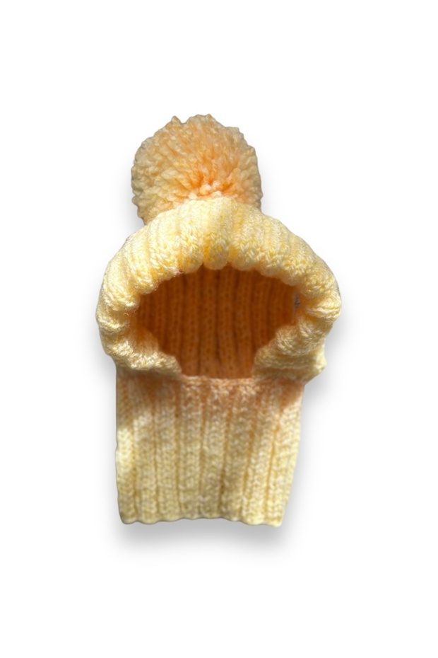 El Örgüsü Köpek Şapka&Bere - 2