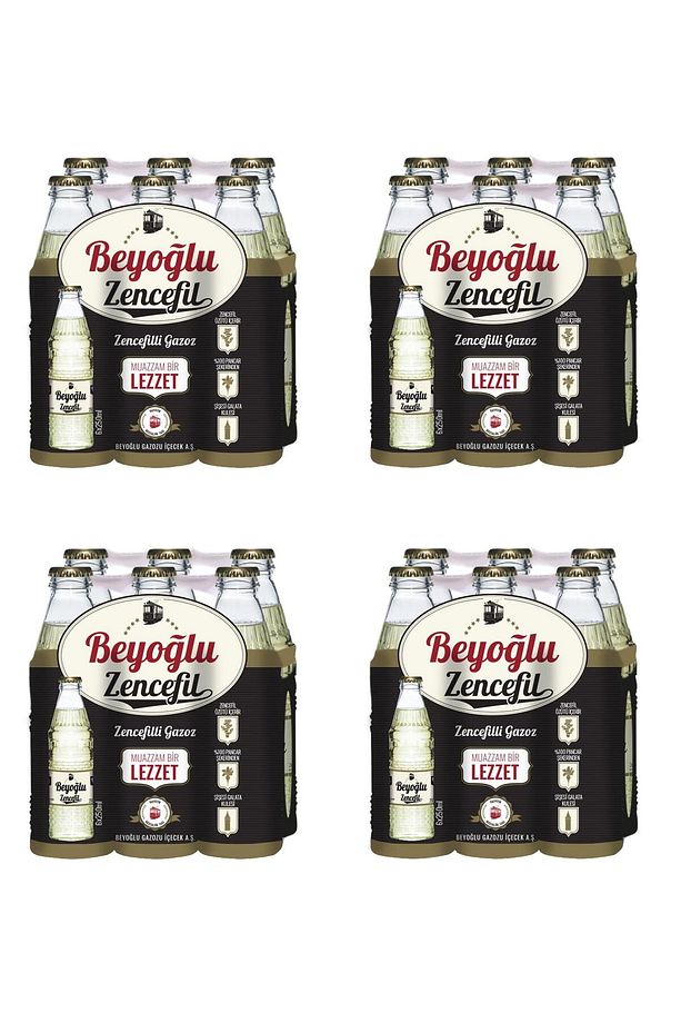 Gazozu Zencefilli 250 Ml X 24 Adet - 1