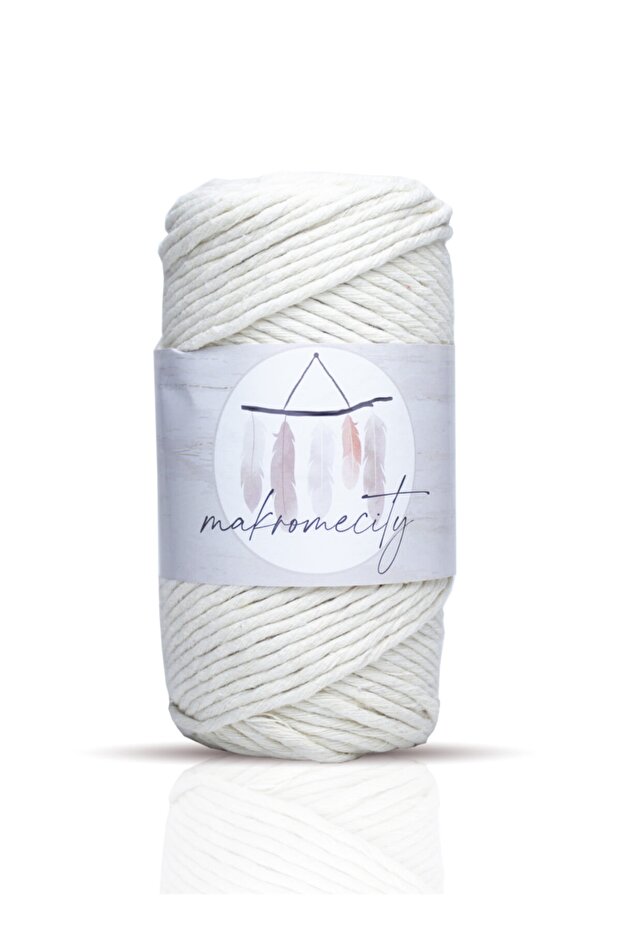 Taranan Macrame Thread 3mm Single Twist Macrame Scannable Thread Set of 4 Ecru Bitter Coffee Tile Milk Coffee - 2