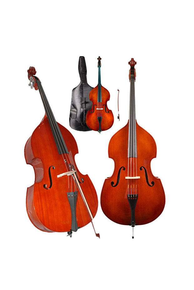 4/4 Model Brown Contrabass - 1