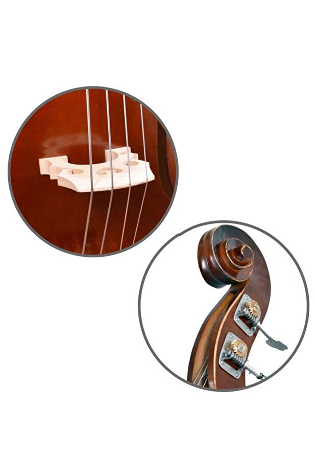 4/4 Model Brown Contrabass - 4