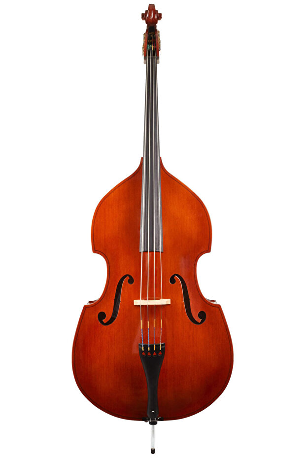 4/4 Model Brown Contrabass - 2