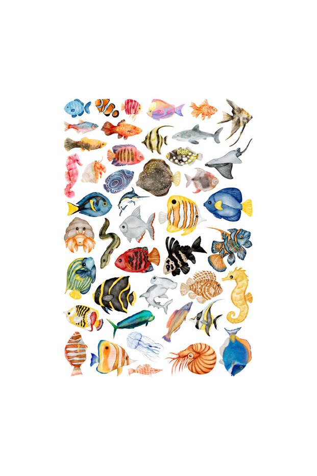 44Pcs Watercolor Fish Sticker Set - Sticker Set Scrapbook Bullet Journal