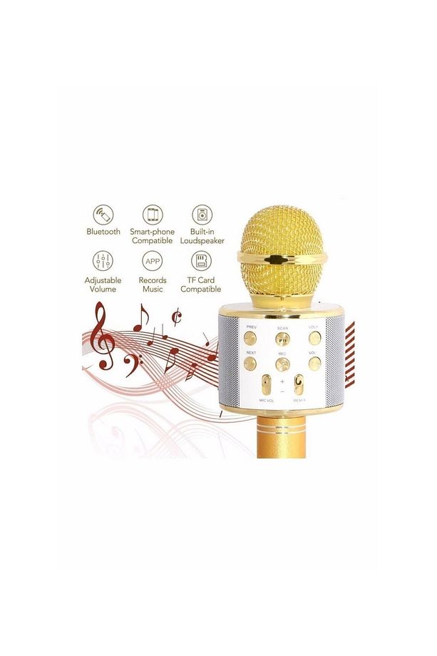 Karaoke Mikrofon Bluetooth Aux Usb Sd Kart Girişli A + Kalite - 3
