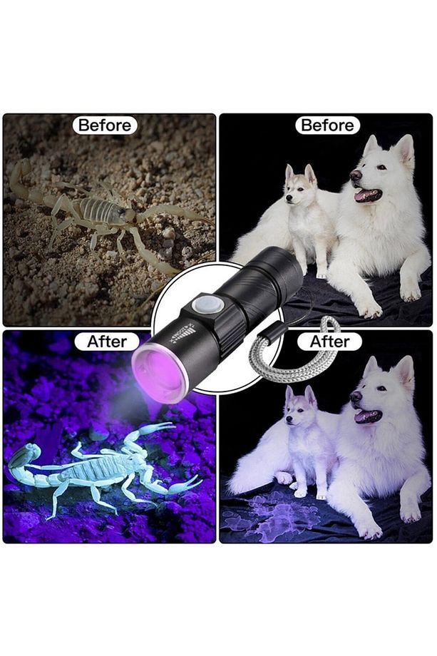 Ultraviyole USB Şarjlı 395nm Değerli Taş & Epoksi Led Fener - 8