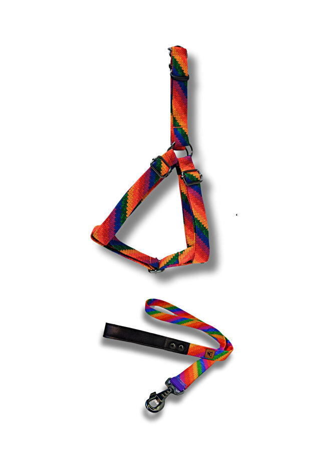 Rainbow Dog Chest Collar and Walking Transport Strap Set