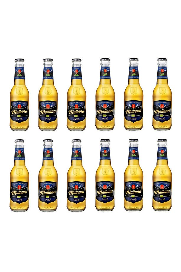 Ginseng Aromalı Enerji İçeceği 250 Ml X 12 Adet - 1