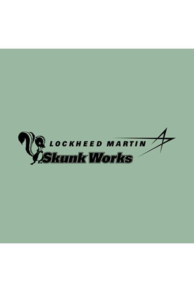 كوب لوكهيد مارتن سكونك ووركس - 2