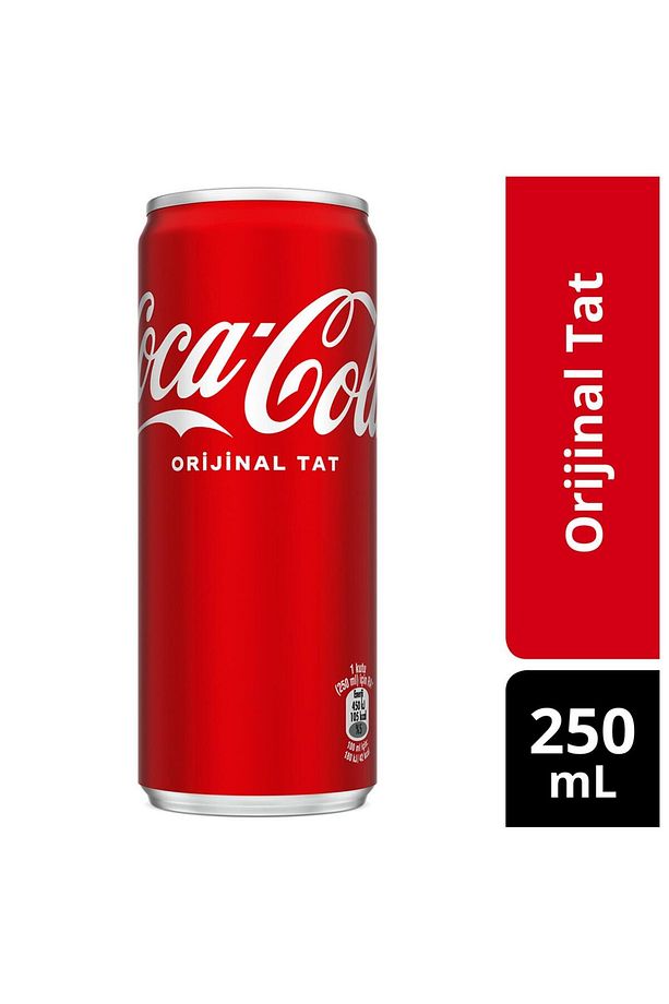 Coca Cola Kola Orijinal Tat 250 Ml X 24 Adet - 2