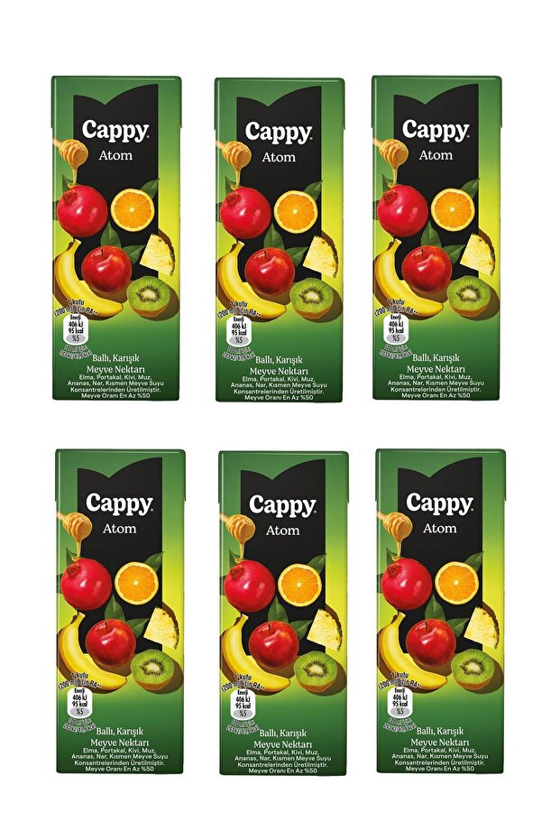 Atom Ballı Karışık Meyve Nektarı 200 Ml X 6 Adet - 1