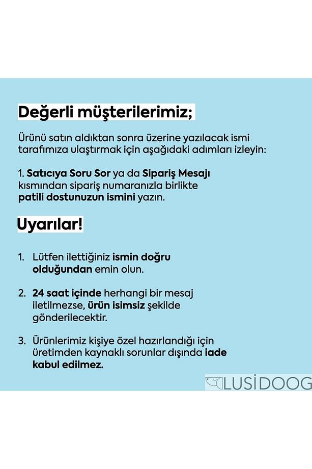 Kişiye Özel Köpek Boyun Tasması İsme Özel Köpek Tasması İsimli Köpek Tasması ve Köpek Papyonu - 8