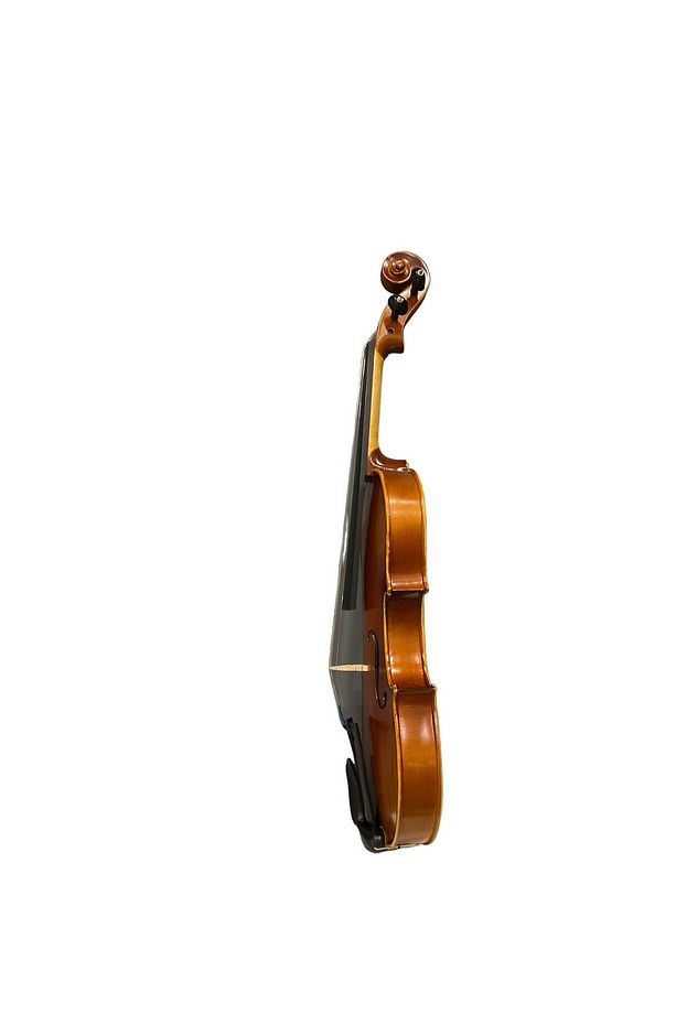 MANDİKİAN AVL210 EL YAPIMI PROFESYONEL KEMAN SETİ (KEMAN+KARBON FİBER KUTU+YASTIK+ARŞE+REÇİNE) (GR) - 5