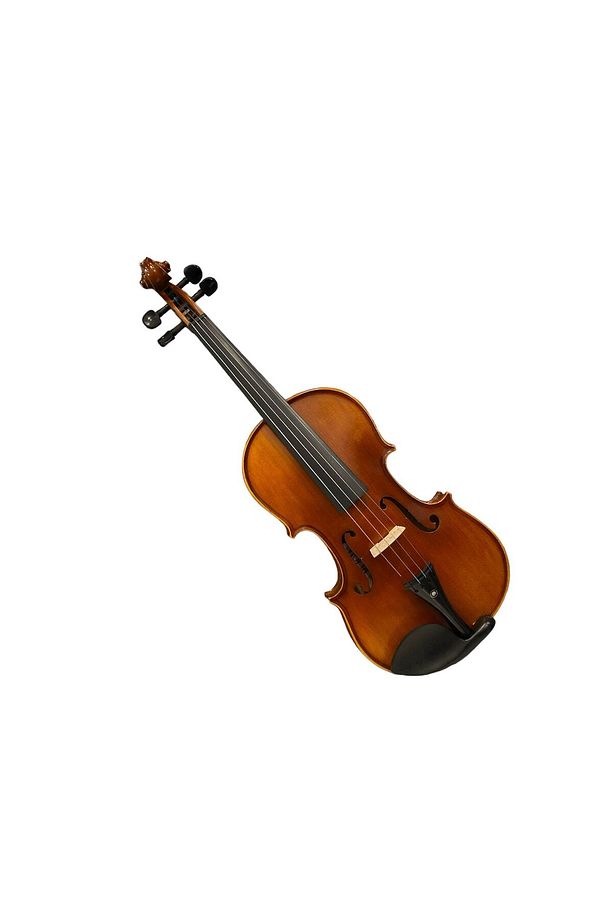 MANDİKİAN AVL210 EL YAPIMI PROFESYONEL KEMAN SETİ (KEMAN+KARBON FİBER KUTU+YASTIK+ARŞE+REÇİNE) (GR) - 3