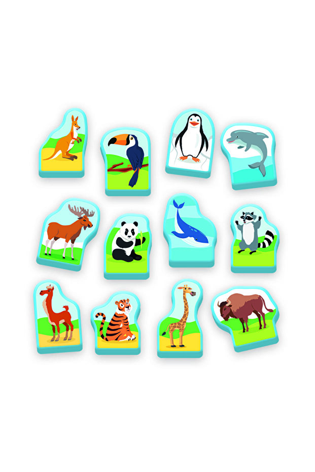 Eğitici Dünya 64816 - 3