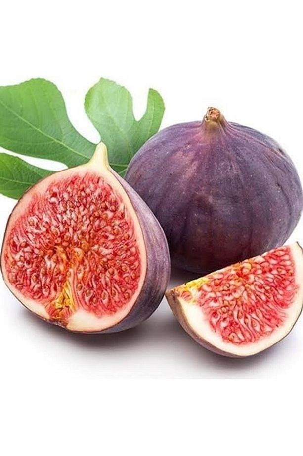 Incir Fidanı Dürdane Siyah Bursa Yediveren Inciri Fidanı, Torbada - 1