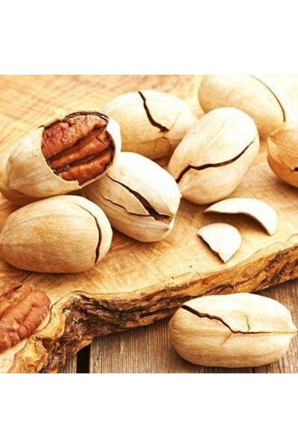 3 Yaş Pikan Cevizi Fidanı (torbalı-60 Cm Üzeri) - 1