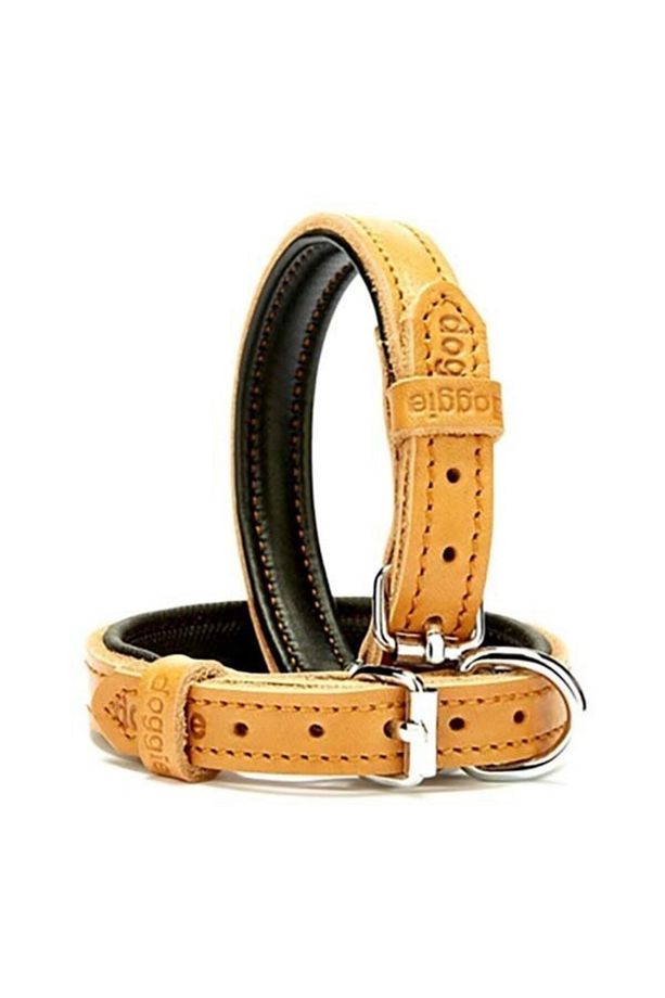 Yumuşak Firstclass Deri Boyun Tasması Camel 1,5x20-25 Cm - 1