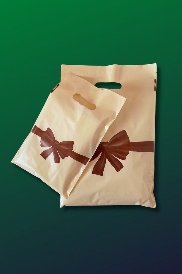 25x35 Cm Mağaza Poşeti - Kurdele Desenli Baskılı El Geçme Mağaza Poşeti 100 Adet - 4