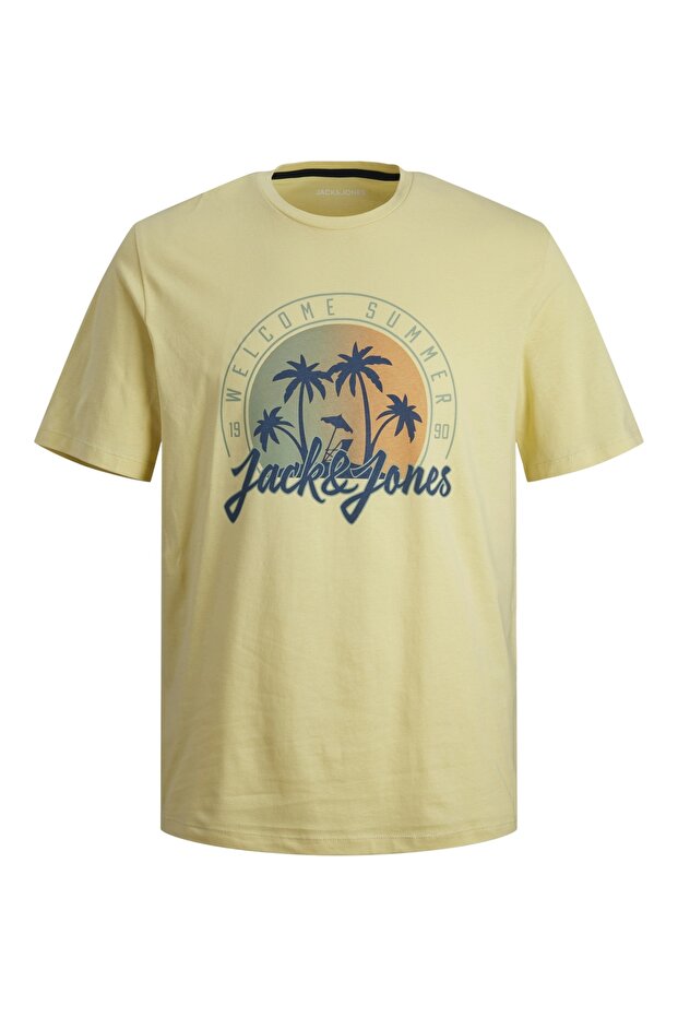 JJSUMMER VIBE TEE SS CREW NECK LN