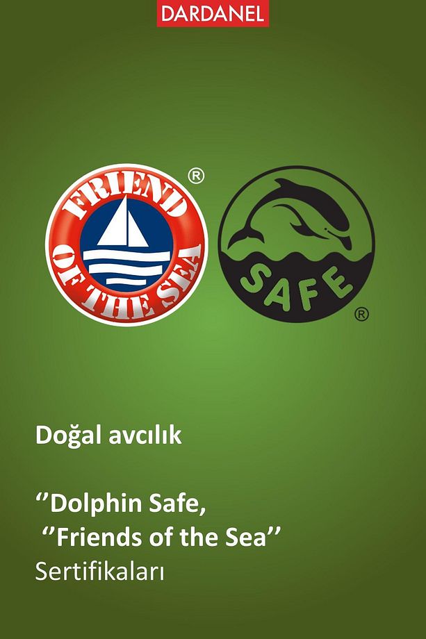 Zeytinyağlı Ton Balığı 4x75 gr X2 Adet - 7