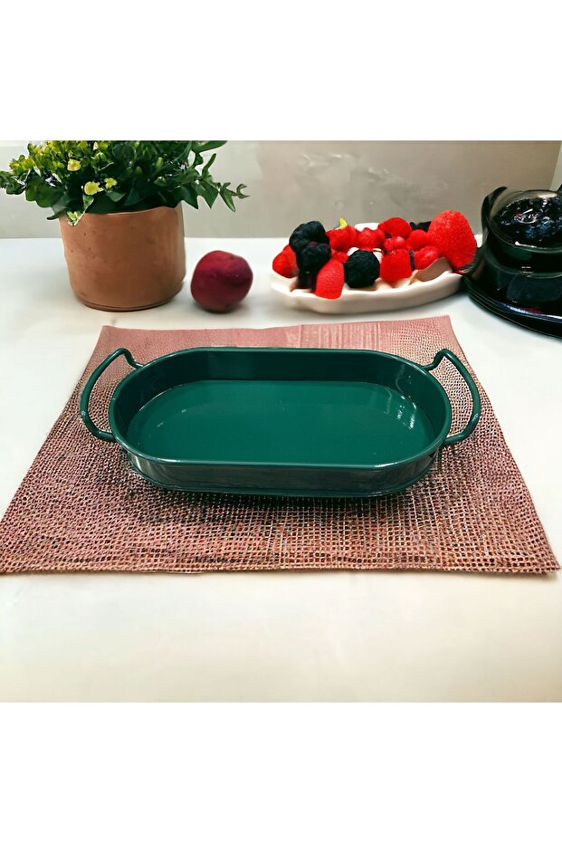 Oval Tray with Oval Handles Special Paint Green Stainless Presentation Tray Galvanized 32X15