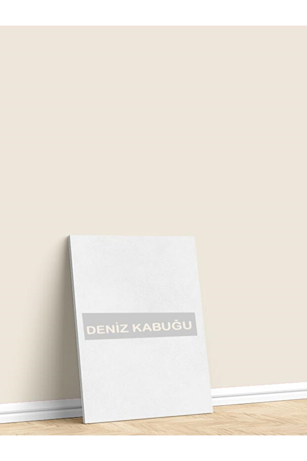 MAXİMUM SİLİKONLU SİLİNEBİLİR BOYA - 1