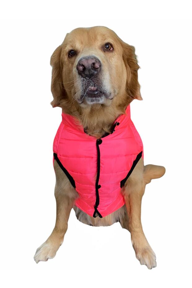 Big Breed Neon Pink Anorak Puff Vest