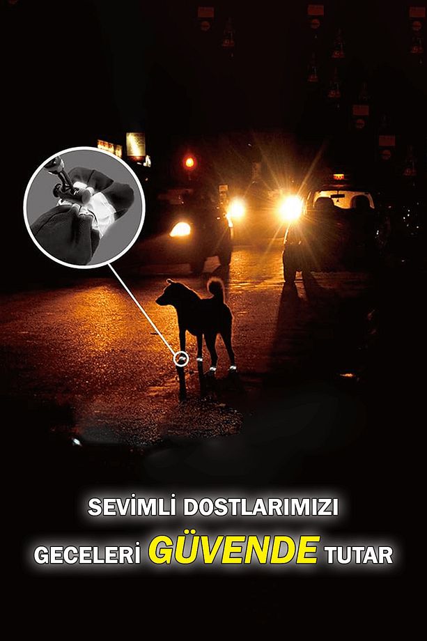 Köpek Ayakkabısı Yumuşak Kaydırmaz Su Geçirmez Taban Kapalı Ve Açık Yürüyüş, Koşu, Eğitim Ayakkabısı - 3
