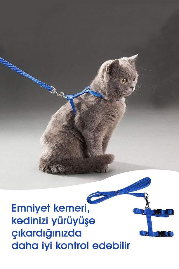 Kedi Göğüs Tasması Ayarlanabilir Boyunluklu Renkli Gezdirme Kayışı Boyun Tasması Pire Kedi Tüneli - 3