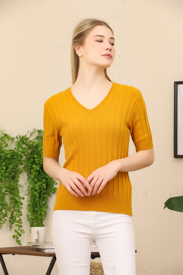 V-Neck Short Sleeve Ribbed Summer Stretchy Knitwear Badi Blouse