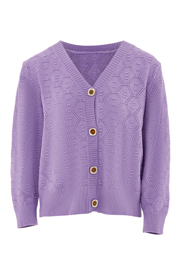 cardigan - 1