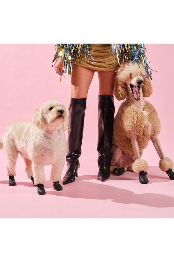 Boots Siyah Köpek Ayakkabısı - 2