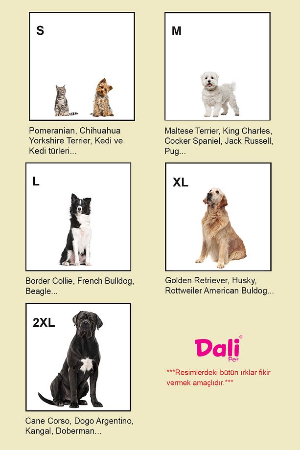 Köpek Ayakkabısı Yumuşak Kaydırmaz Su Geçirmez Taban Kapalı Ve Açık Yürüyüş, Koşu, Eğitim Ayakkabısı - 5