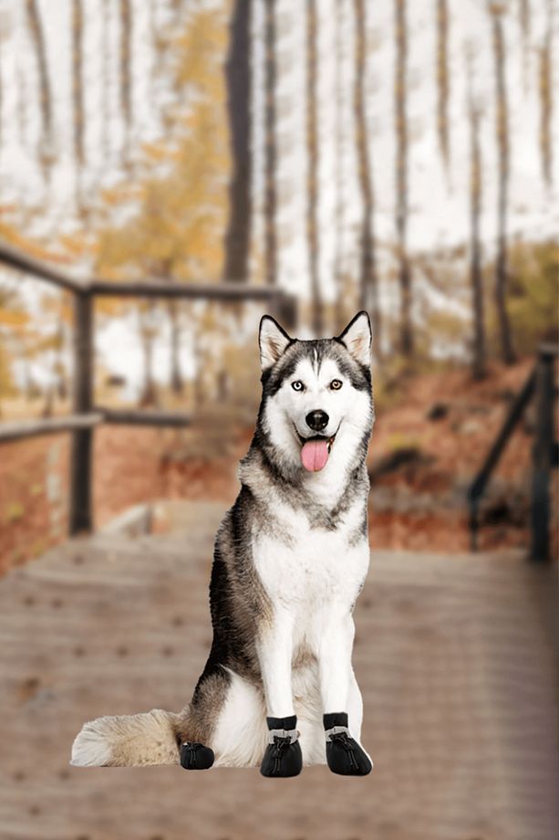 Köpek Ayakkabısı Yumuşak Kaydırmaz Su Geçirmez Taban Kapalı Ve Açık Yürüyüş, Koşu, Eğitim Ayakkabısı - 6
