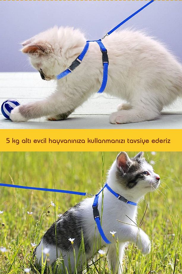 Kedi Göğüs Tasması Ayarlanabilir Boyunluklu Renkli Gezdirme Kayışı Boyun Tasması Pire Kedi Tüneli - 6