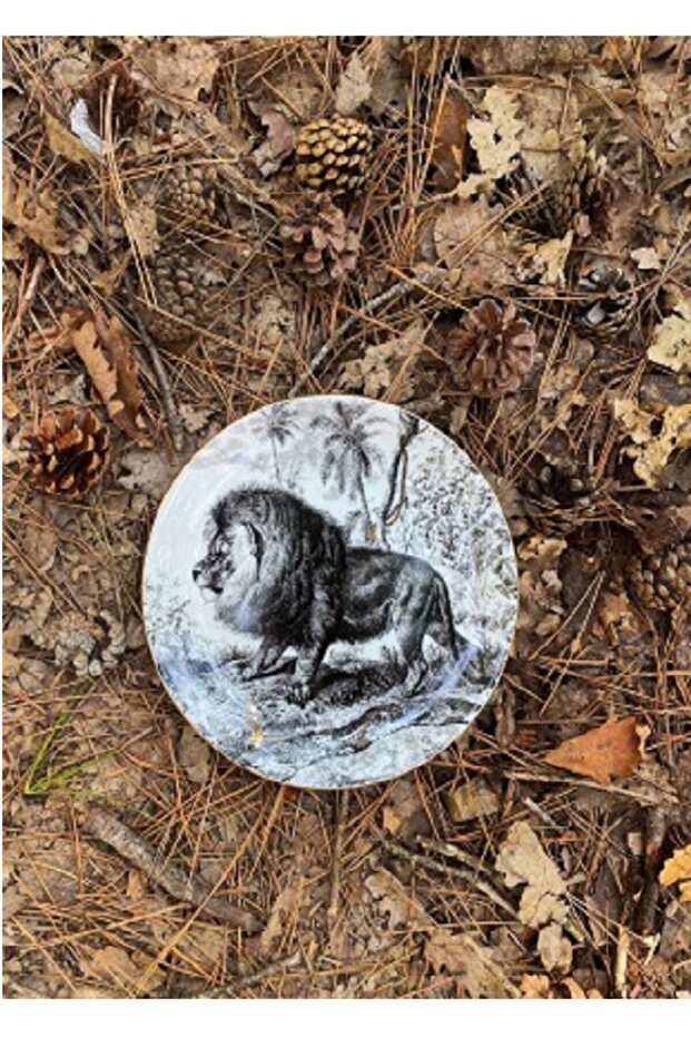 Lıon 23 Cm Tabak - 3