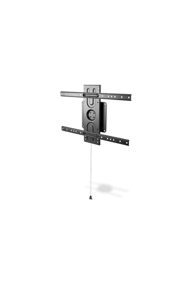 Wall Holder for Vertical / Horizontal Format Flat Panel Screens