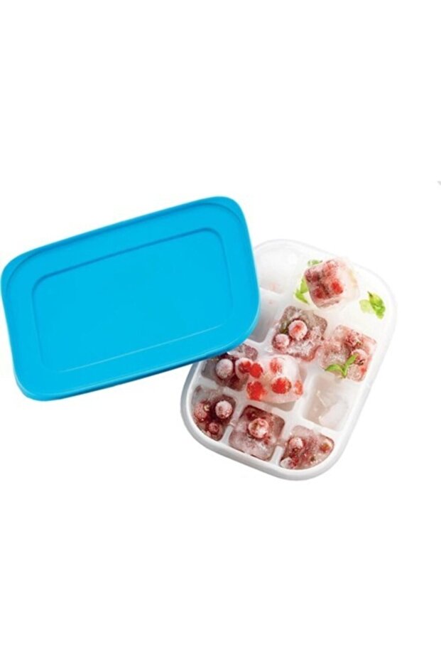 Alaska Buz Devri Mini Buz Kalıbı - 1