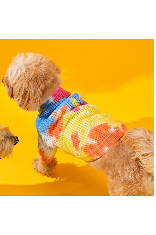 Tie-dye Köpek Kazağı