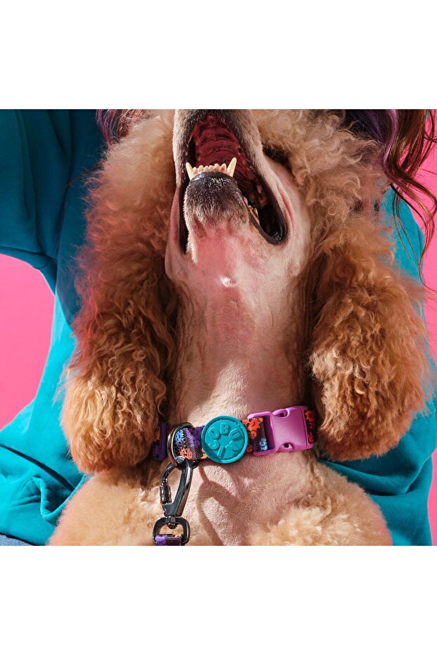 Köpek Boyun Tasması - Smiley - 2