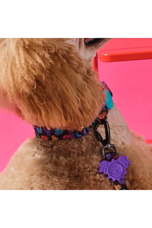 Köpek Boyun Tasması - Smiley - 3