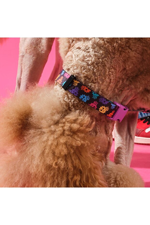 Köpek Boyun Tasması - Smiley - 4