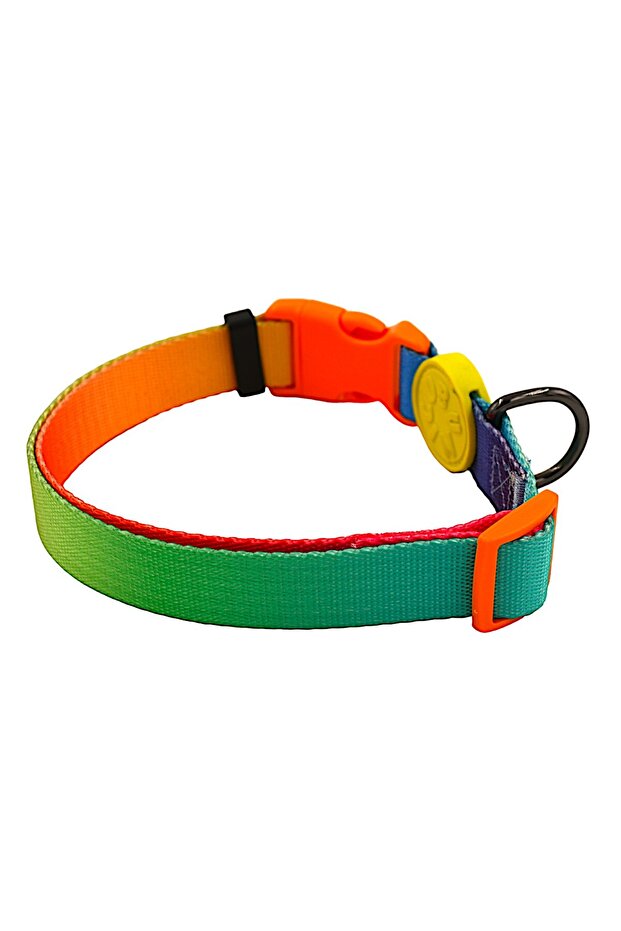Köpek Boyun Tasması -Gradient - 5