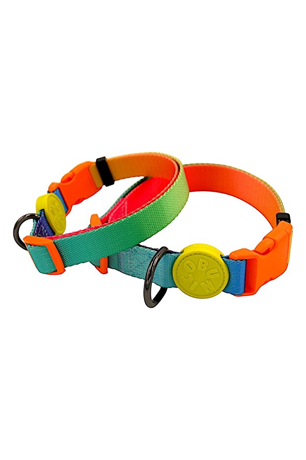 Köpek Boyun Tasması -Gradient - 7