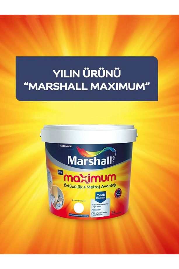MAXİMUM SİLİKONLU SİLİNEBİLİR BOYA - 2
