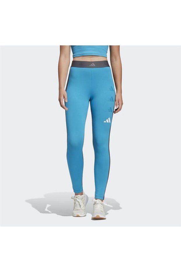 Women's Blue/Grey Sports Leggings, Casual Leggings