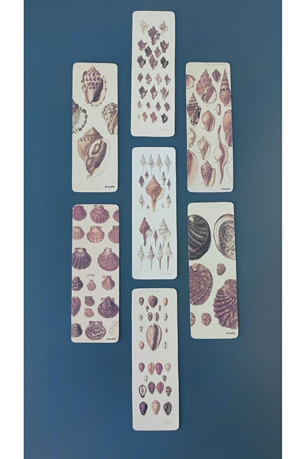 Sea shell bookends / 7 pieces - 2