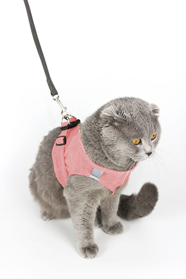 Kedi Gezdirme Tasması - Kedi Tasması Göğüs Tasma Seti Yumuşak Süet Pembe Renk - 2